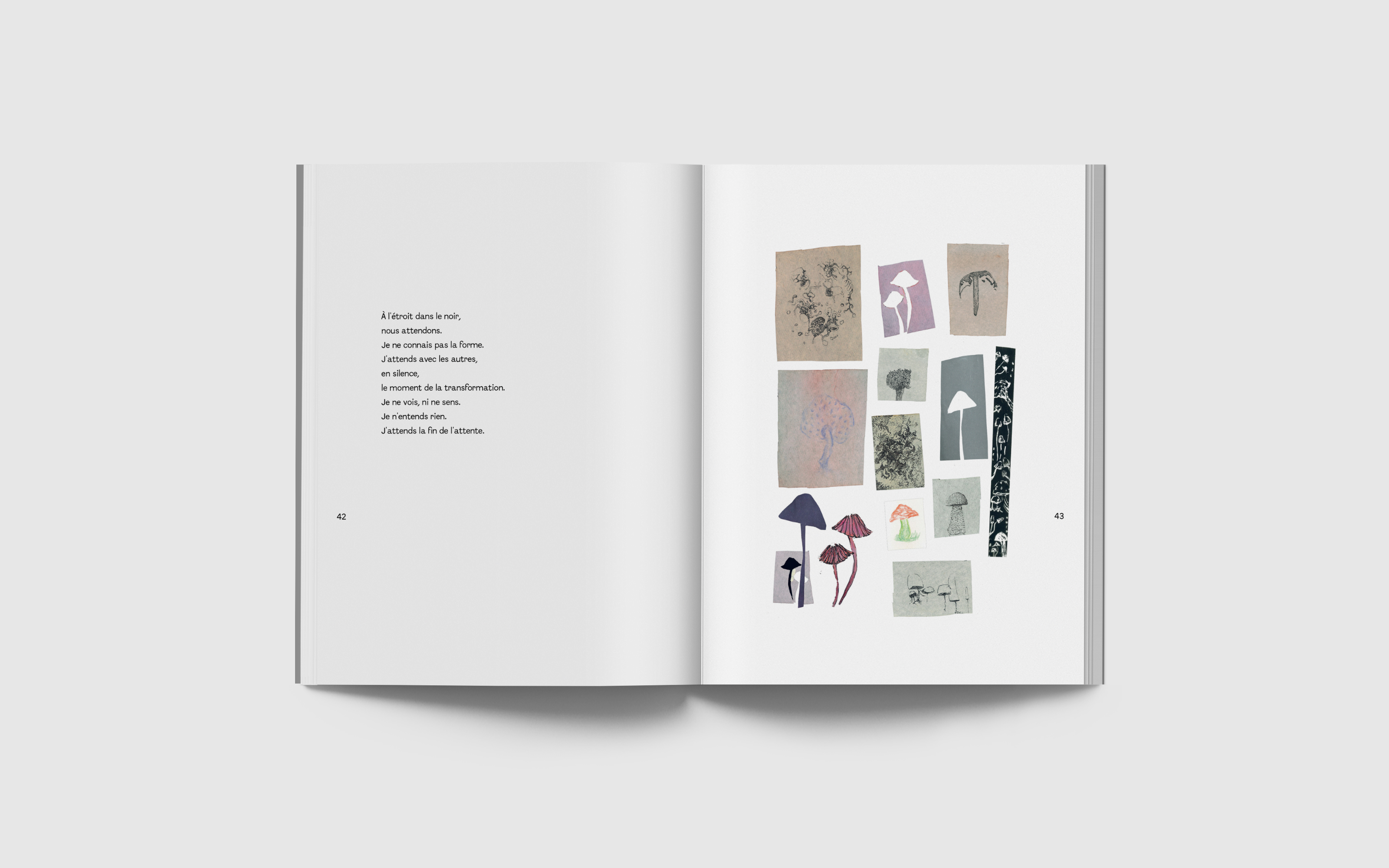 vincen beeckman Verso Recto 2025