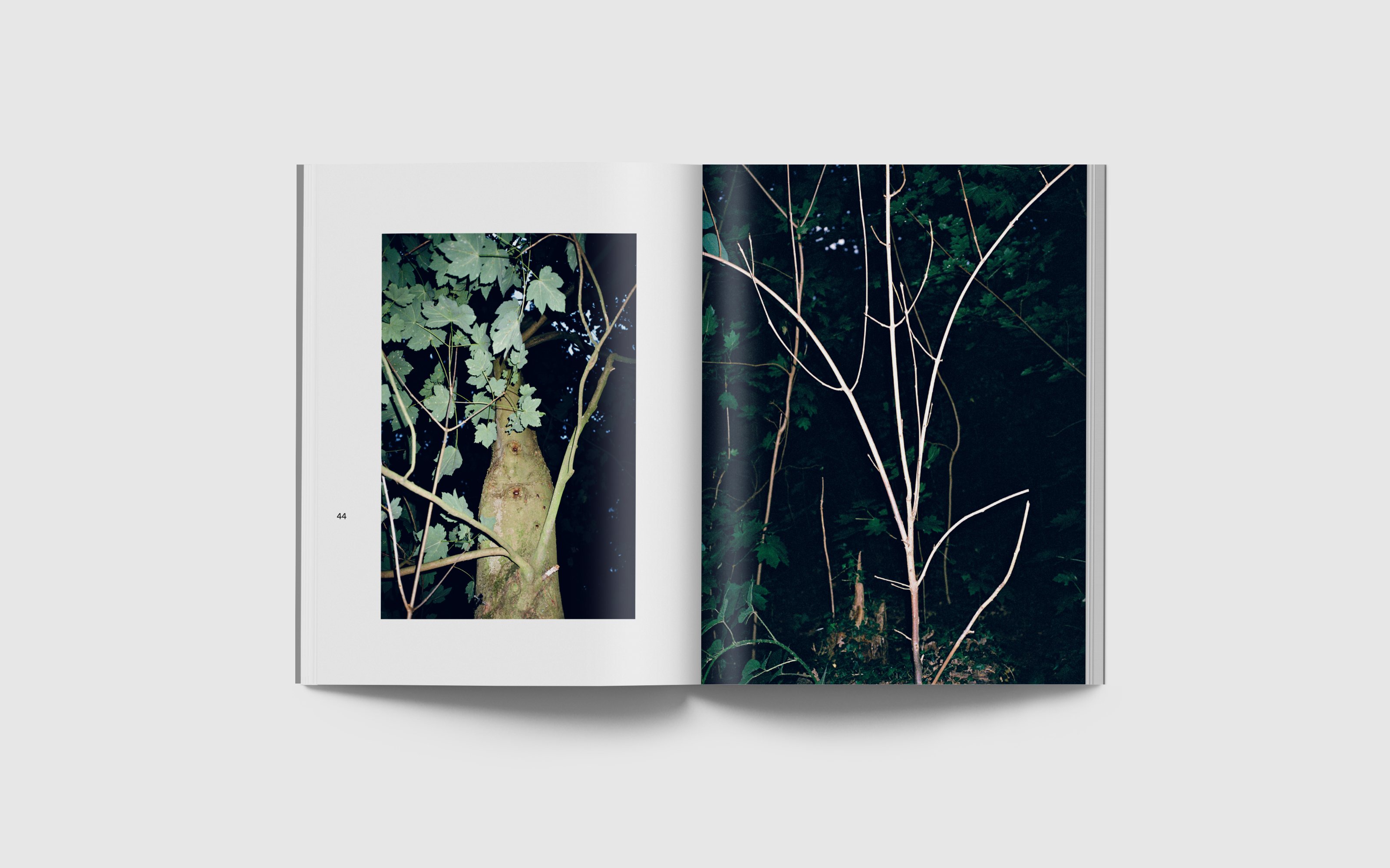 vincen beeckman Verso Recto 2025