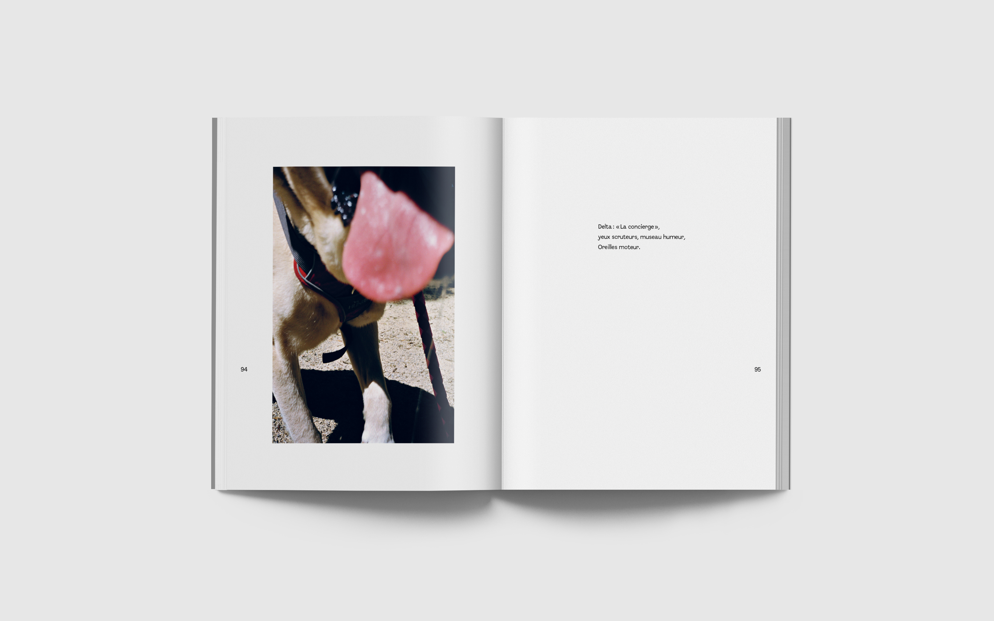 vincen beeckman Verso Recto 2025